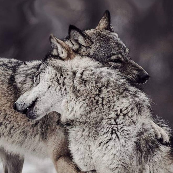 ABOUT ME - Picture 10 of 12